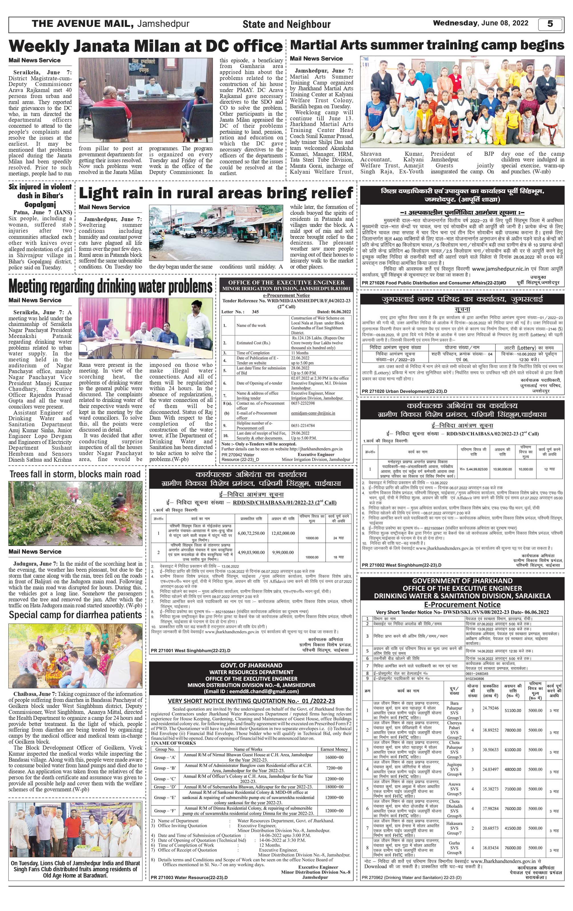 The Aveneu Mail June 8_page-0005