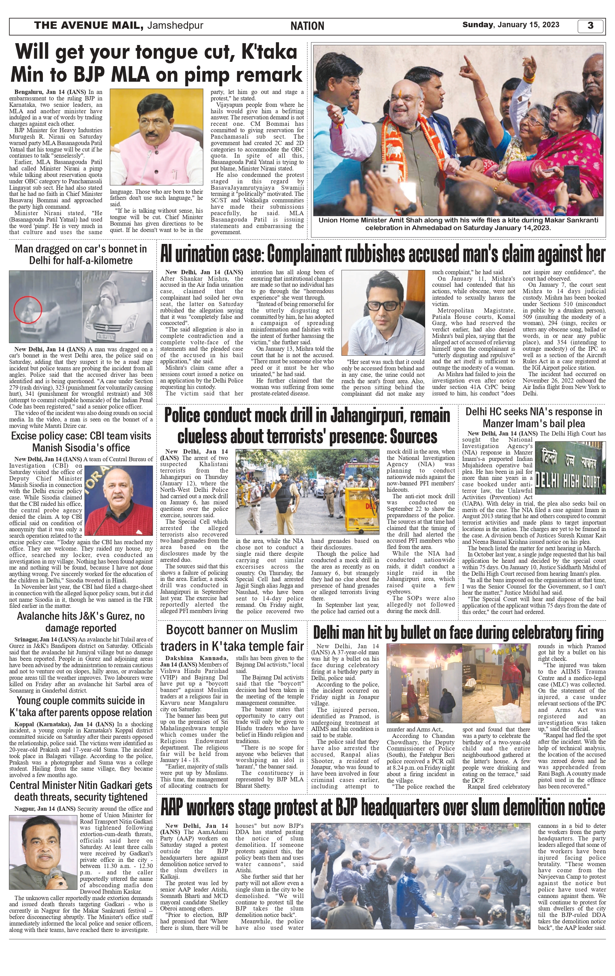 The Aveneu Mail Jan 15_page-0003