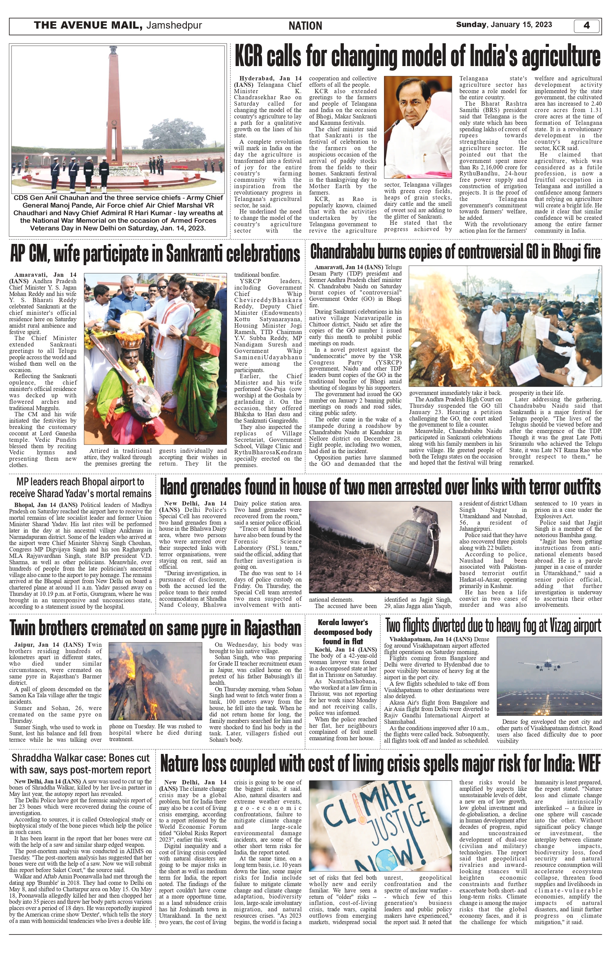 The Aveneu Mail Jan 15_page-0004