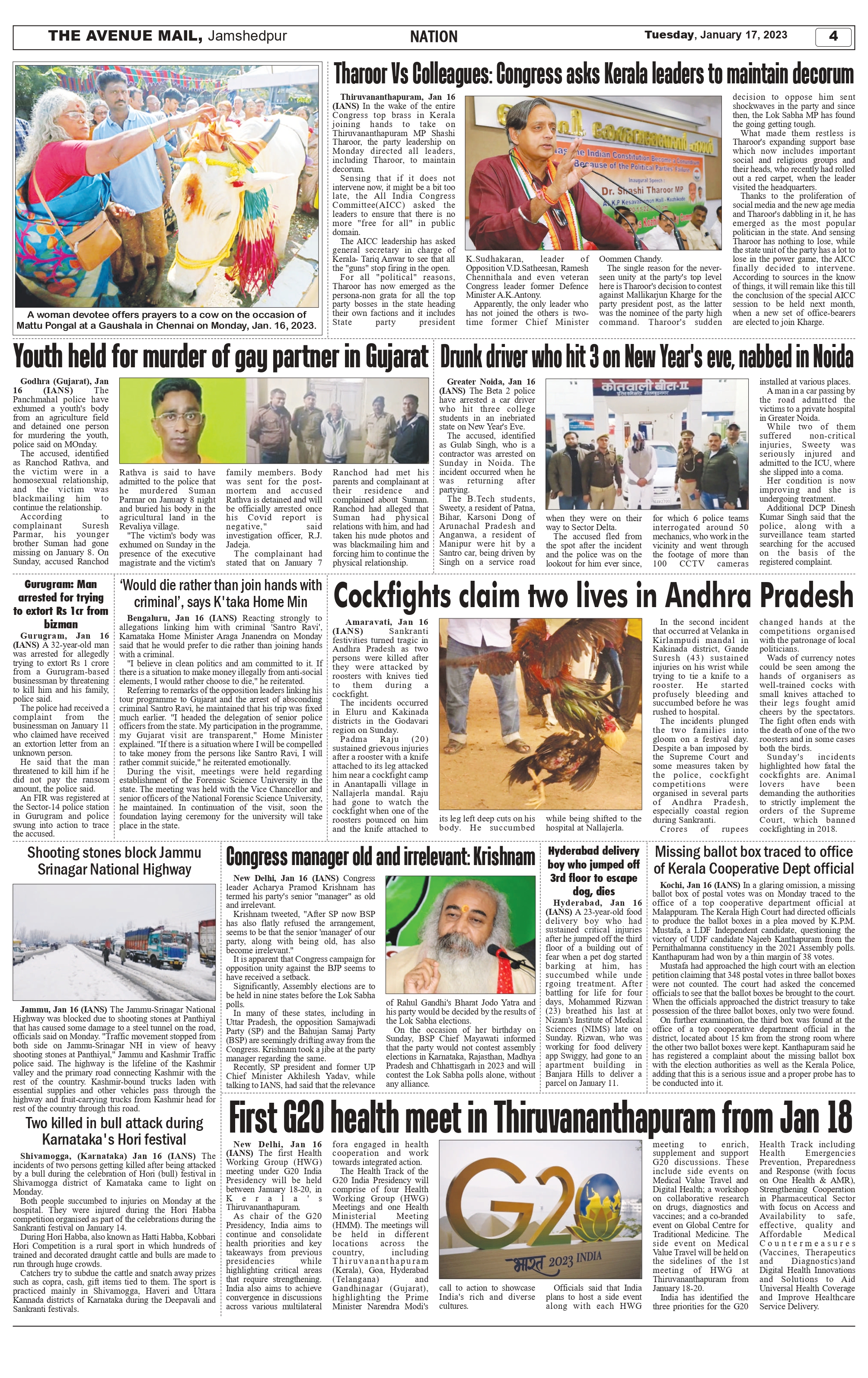 The Avenue Mail Jan 17_page-0004