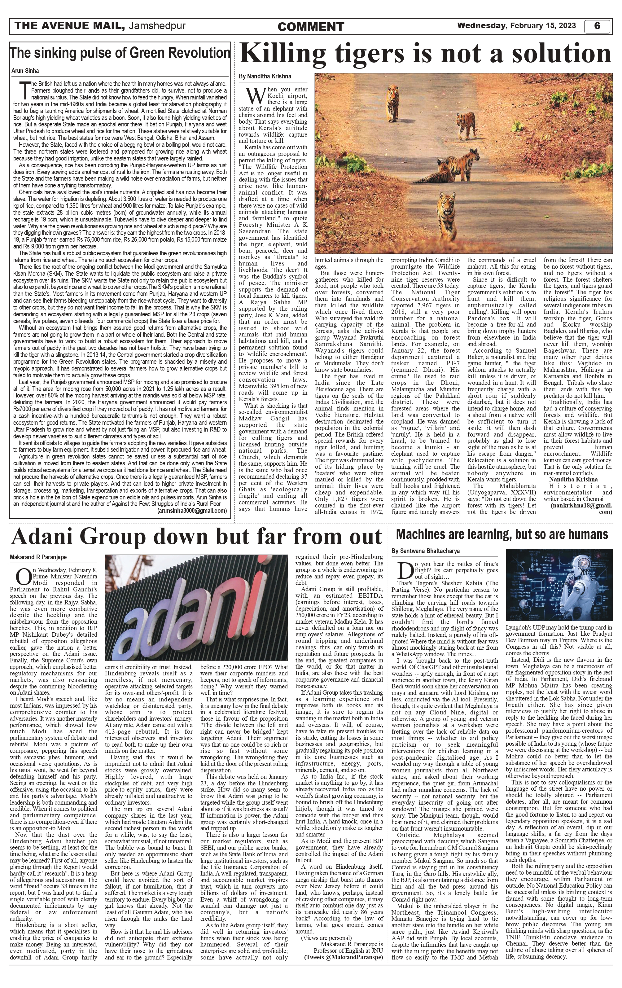 The Avenue Mail Feb 15_page-0006