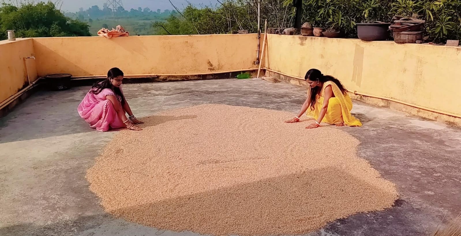 Avenue Mail - Entertainment - News Image